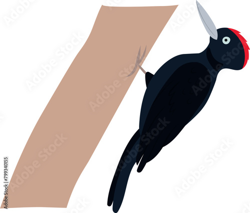 Cute woodpecker bird cartoon illustration for kids isolated on white background.