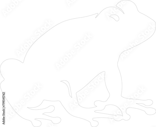 polliwog outline photo