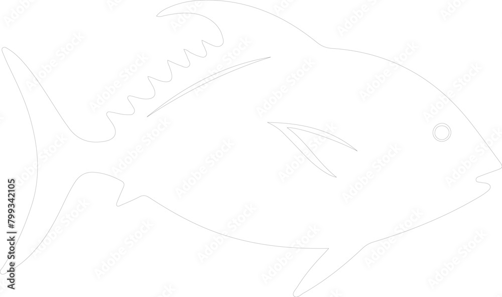 pompano outline pompano outline