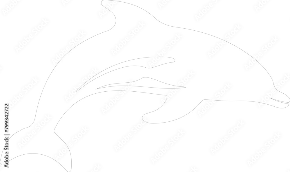 porpoise outline