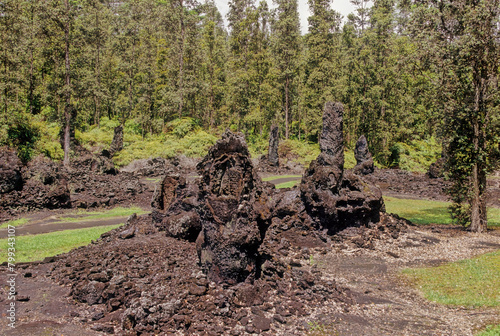 Lava Tree State Monument photo