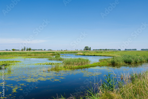 Beautiful natural landscapes of the river. A bird's-eye view of the drone