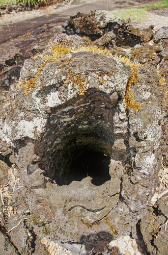 Lava Tree State Monument