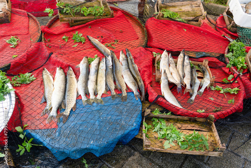 Daily life in Golyazi fishing village. Pike sold by street vendors. Bursa, Turkey