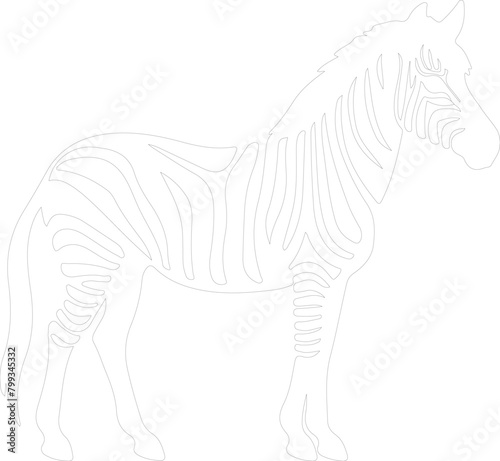 quagga outline