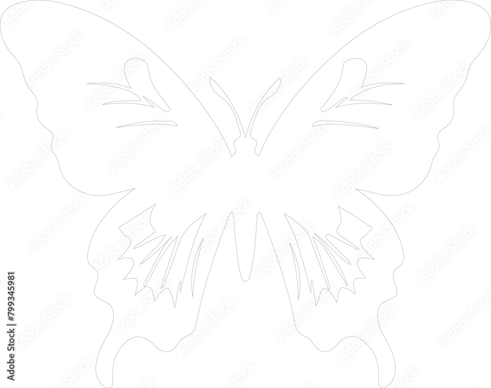 Queen Alexandras birdwing outline Queen Alexandras birdwing outline