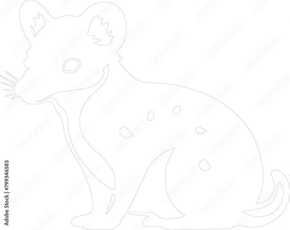 Obraz premium quoll outline