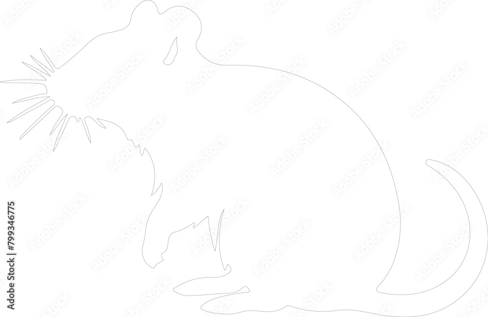 rat outline rat outline