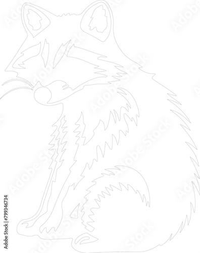 raccoon outline © Mappingz