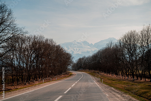 the road to the left is an asphalt scenic road with a turn to the left into the mountains with a view of the snow-capped tops of the mountains and a blue sky with clouds and along the road there are a