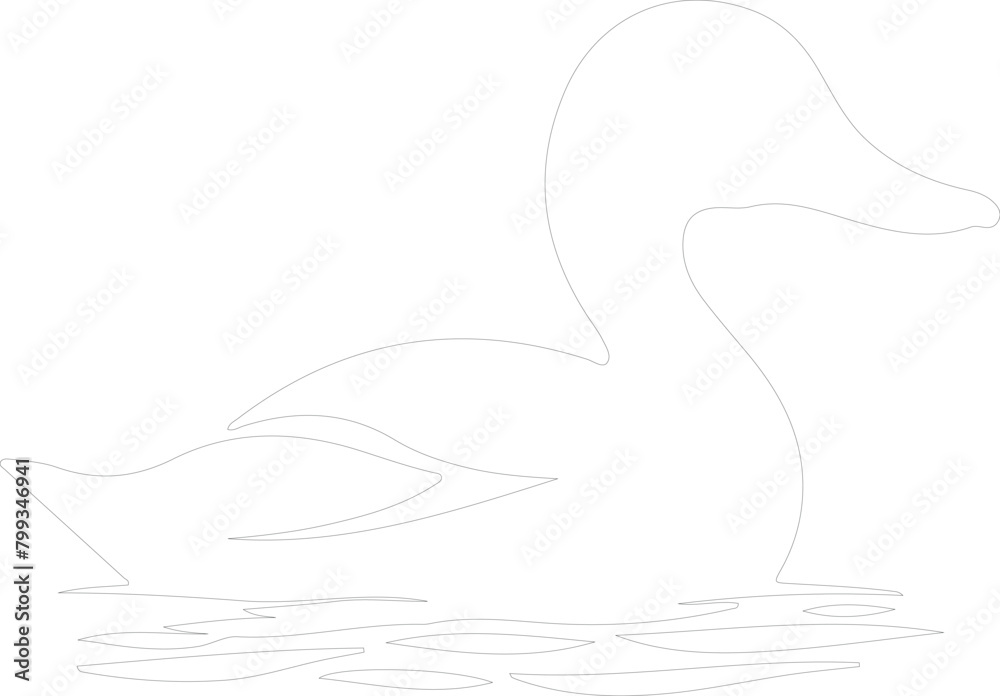Fototapeta premium red hooded duck outline