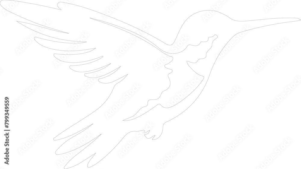 ruby-throated hummingbird outline ruby-throated hummingbird outline