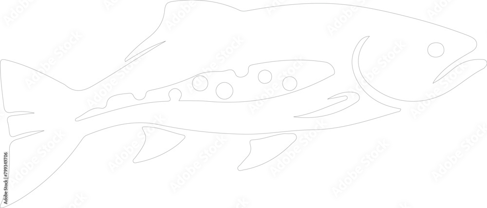 Fototapeta premium salmon outline