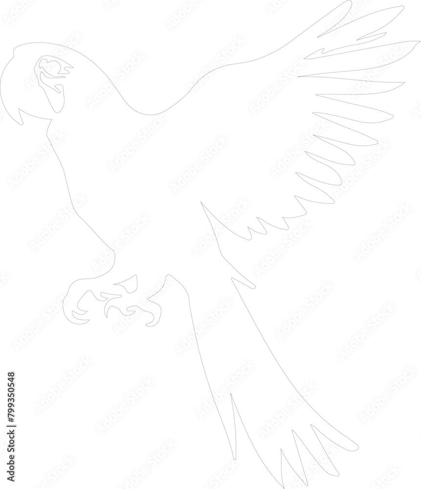 scarlet macaw outline scarlet macaw outline