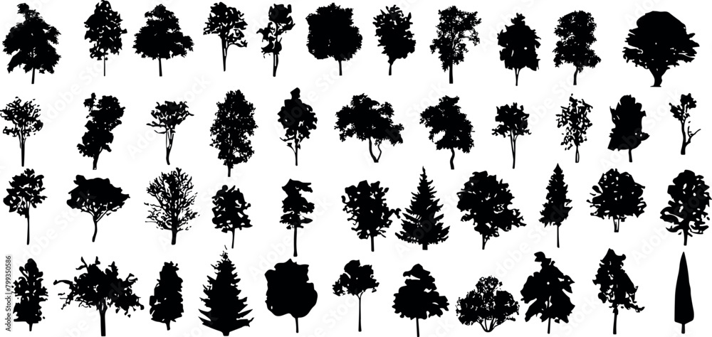 Fototapeta premium tree, vector, forest, oak, architecture, line, plant, landscape, black, background, maple, branch, elevation, tropical, white, cad, design, art, side, set, nature, architect, outline, abstract, leaf,