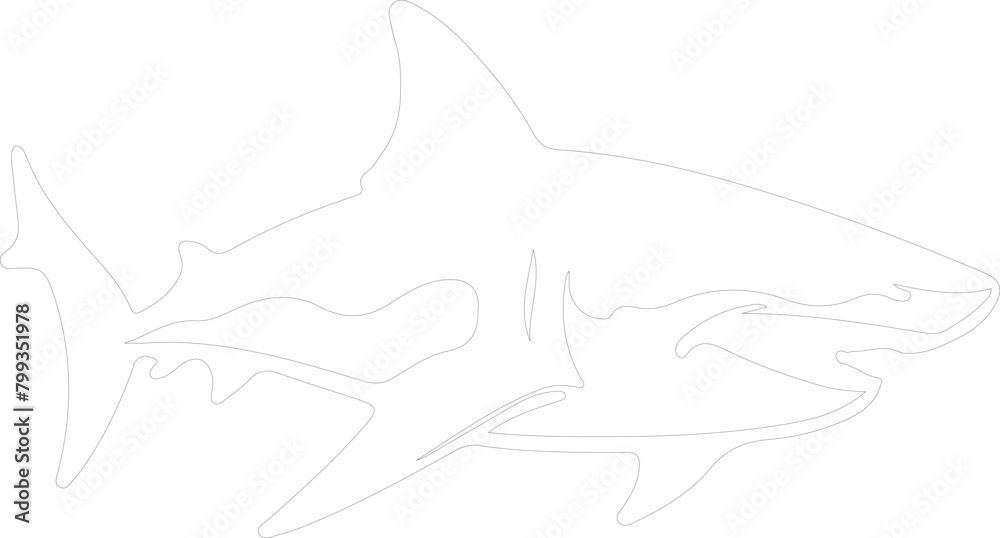 shark outline