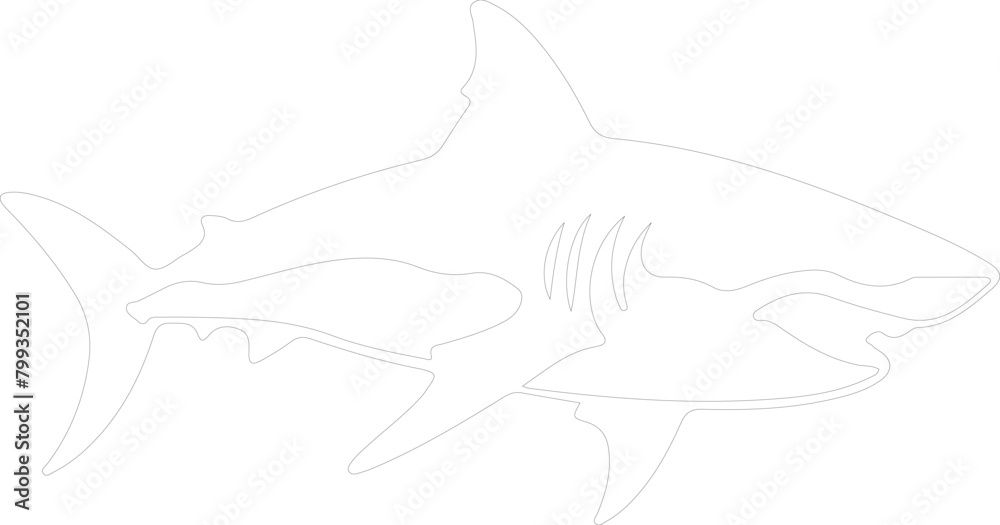 shark outline shark outline