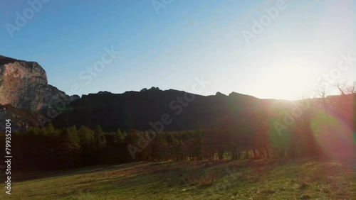 Paysage de foret en automne