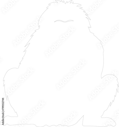 siamang outline photo