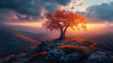 A tree is standing on a rocky hillside with a beautiful sunset in the background