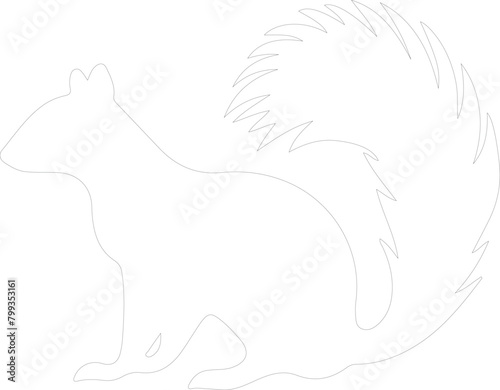 skunk outline
