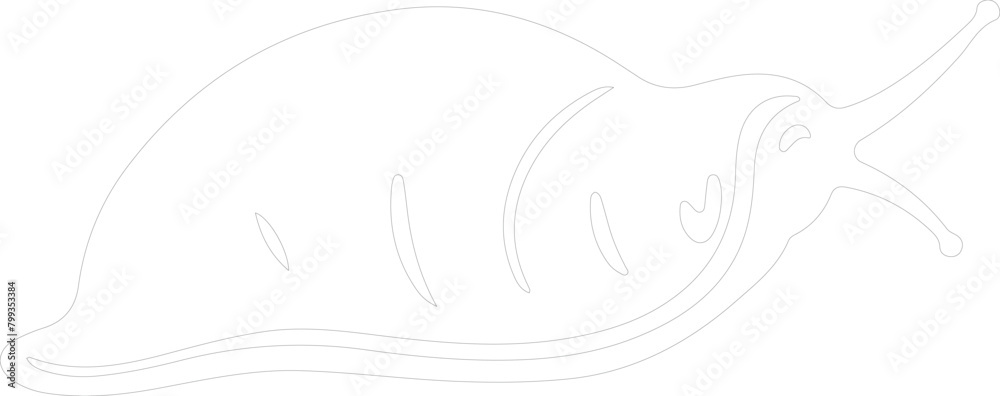 slug outline