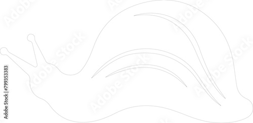 slug outline
