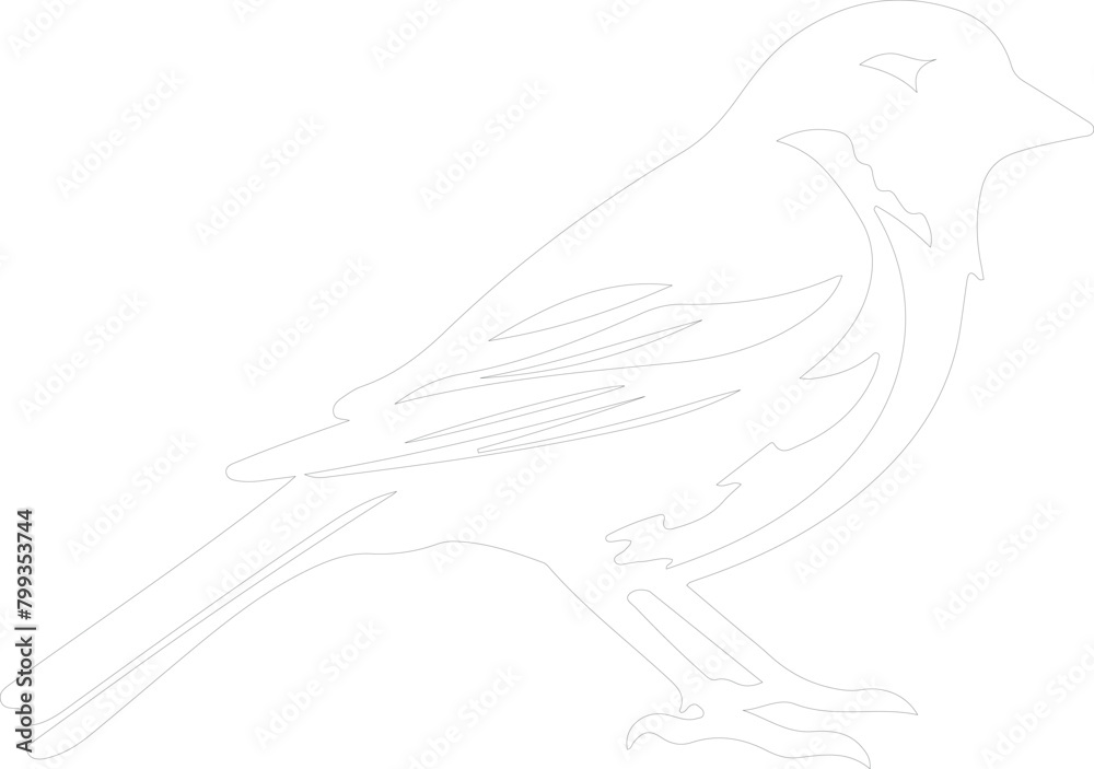 sparrow outline