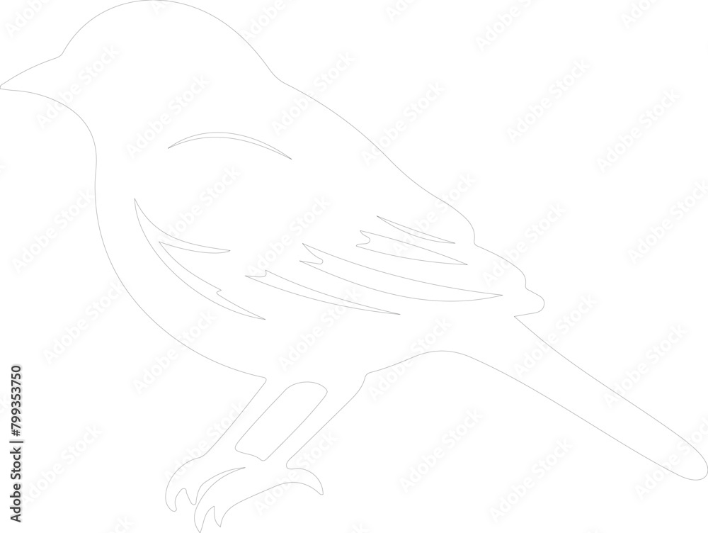 sparrow outline