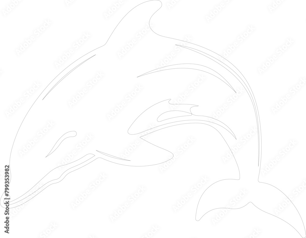 spectacled porpoise outline