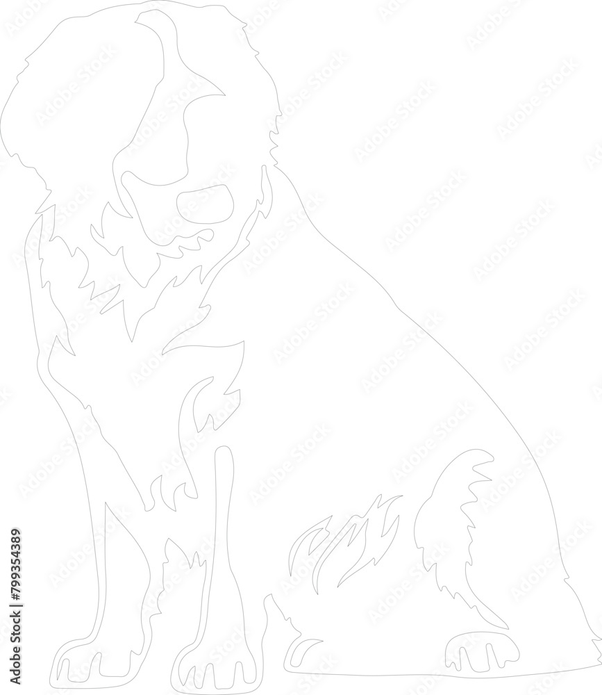 St. Bernard outline