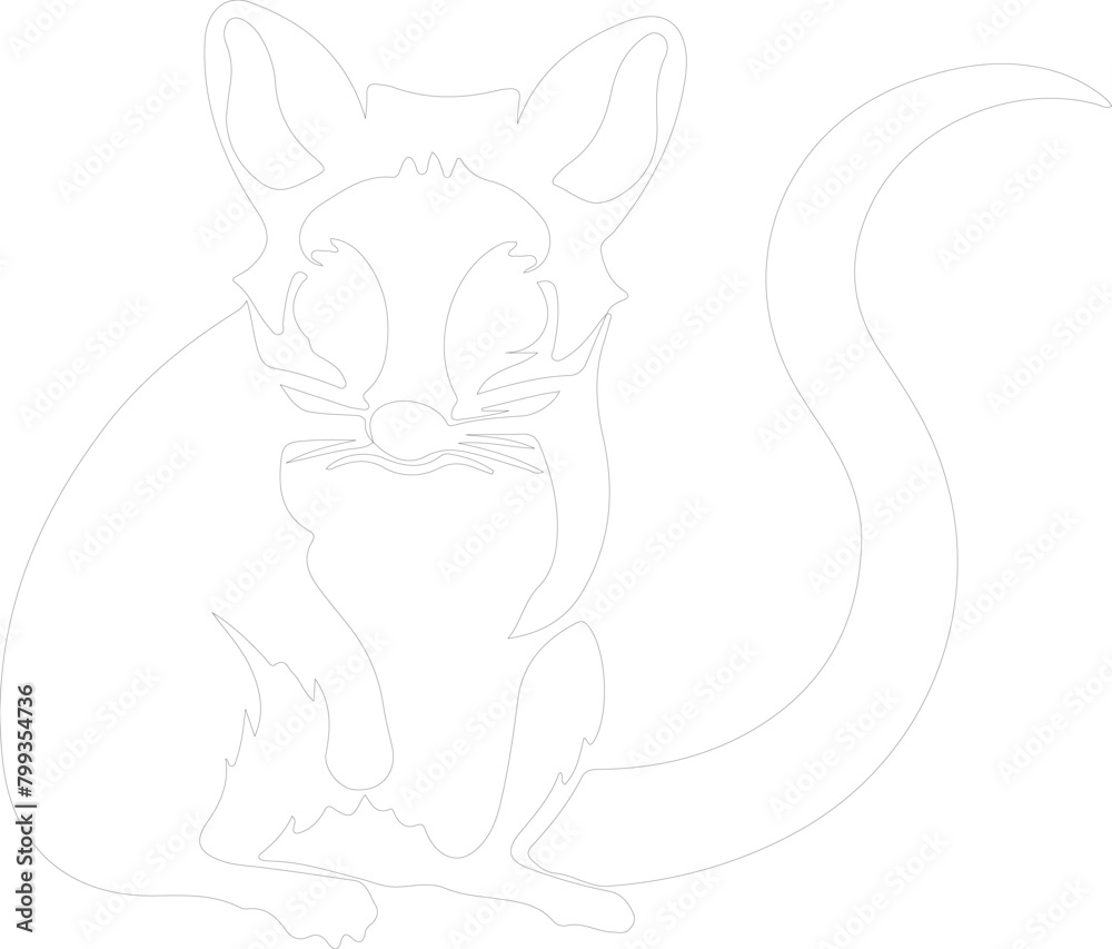 sugar glider outline sugar glider outline