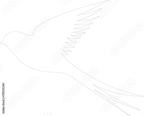 swift outline