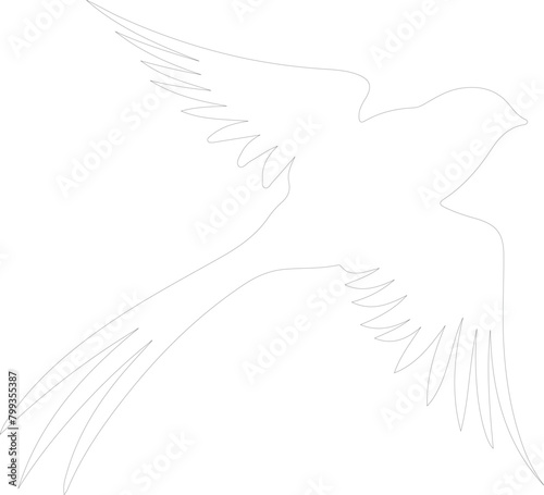 swift outline