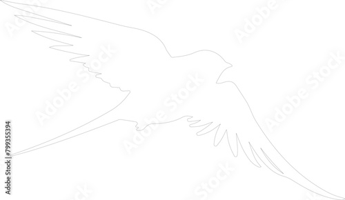 swift outline