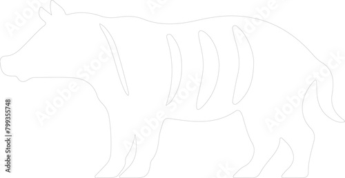 tapir outline