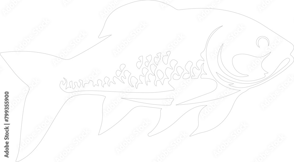 tarpon outline tarpon outline