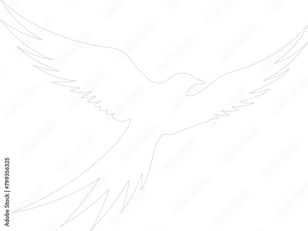 tern outline tern outline