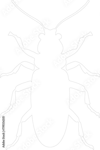 termite outline