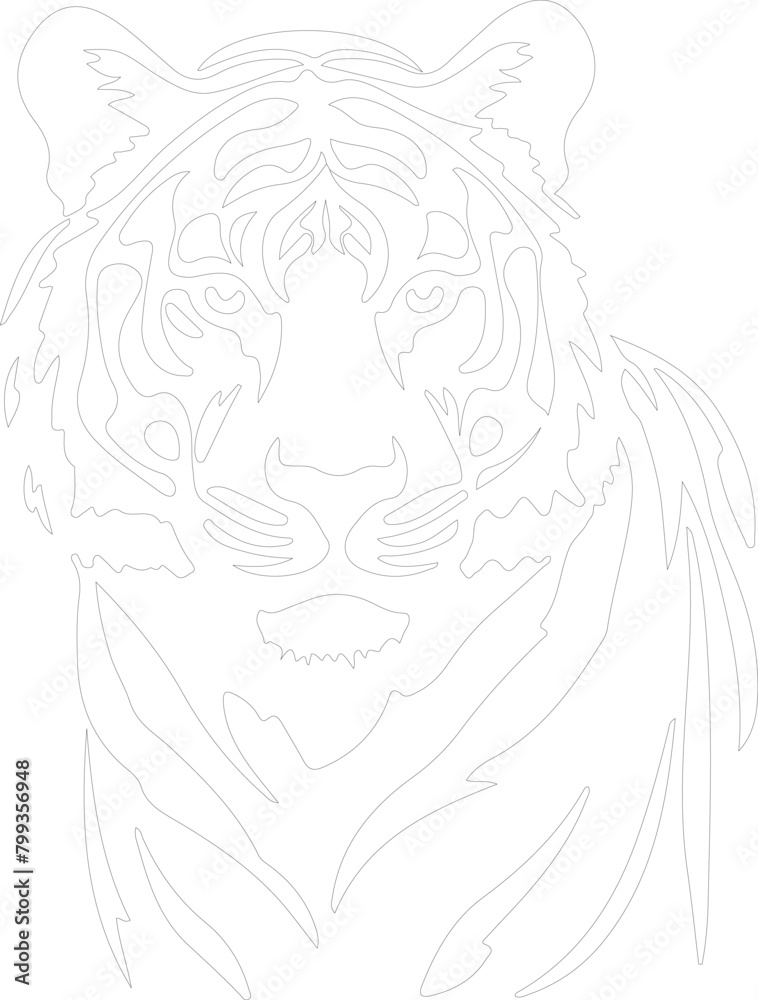 tiger outline tiger outline