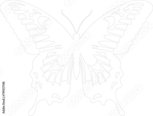 tiger swallowtail butterfly outline