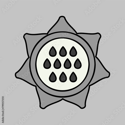 Sunflower outline icon. Vegetable vector