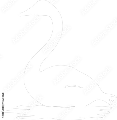 trumpeter swan outline