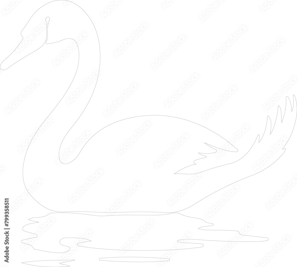 trumpeter swan outline trumpeter swan outline