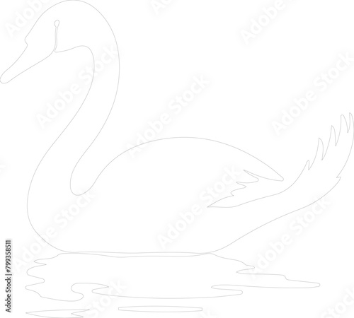 trumpeter swan outline