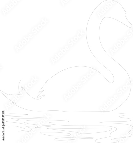 trumpeter swan outline