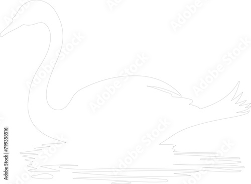trumpeter swan outline