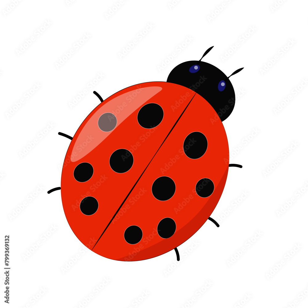 Ladybug, bright vector image, isolated object on a white background, realistic picture, cute insect, EPS 10
Ladybug, bright vector image, isolated object on a white background, realistic picture, cute insect, EPS 10