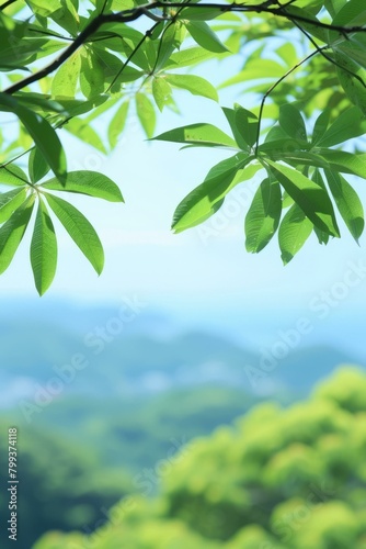 Green leaves of a tree with a blurred background of a mountain range