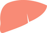 liver icon

